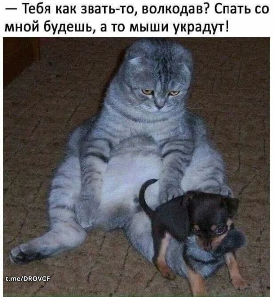 Мем Мем