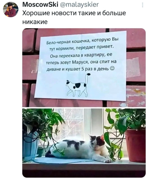 Мем, ArsenZahar5