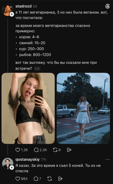 Мем, Bassplayer