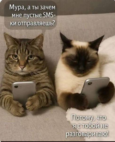 Мем, anberg