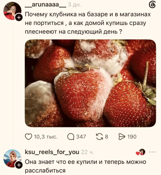 Мем: Не портится, плесневеет, Антиклептократ Мем: Не портится, плесневеет, Антиклептократ