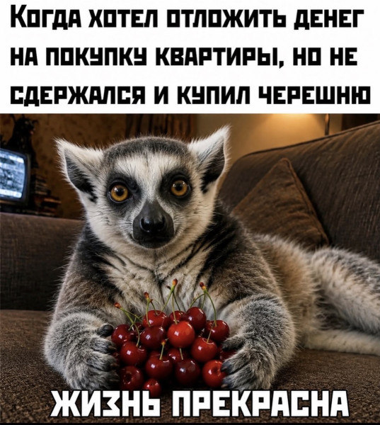 Мем, Антиклептократ