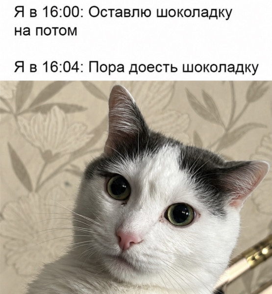 Мем, Антиклептократ
