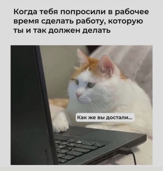 Мем, Антиклептократ