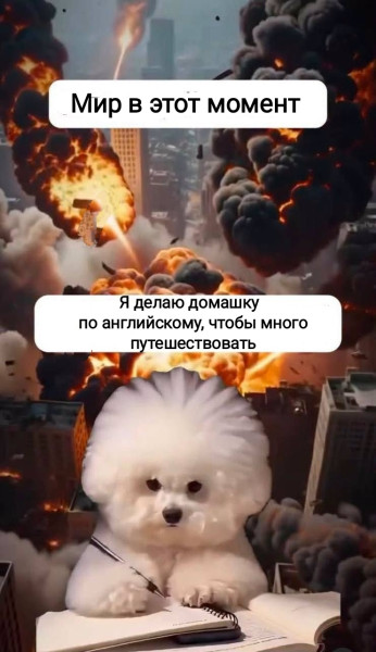 Мем, Рысь