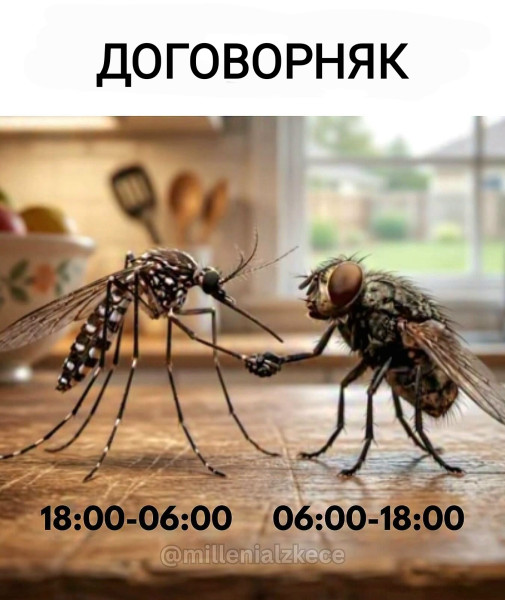 Мем, Рысь