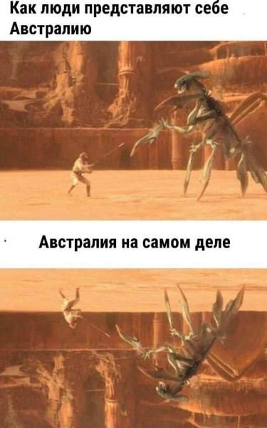 Мем, Леонид Хлыновский