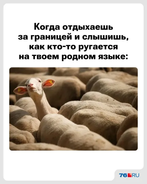 Мем, Леонид Хлыновский
