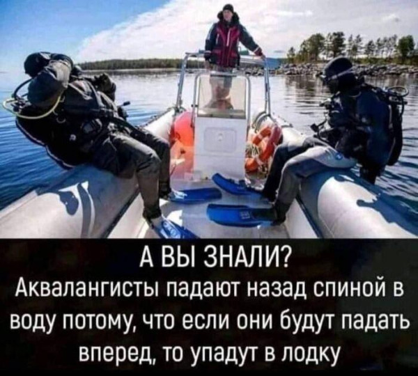 Мем, Ashmedai