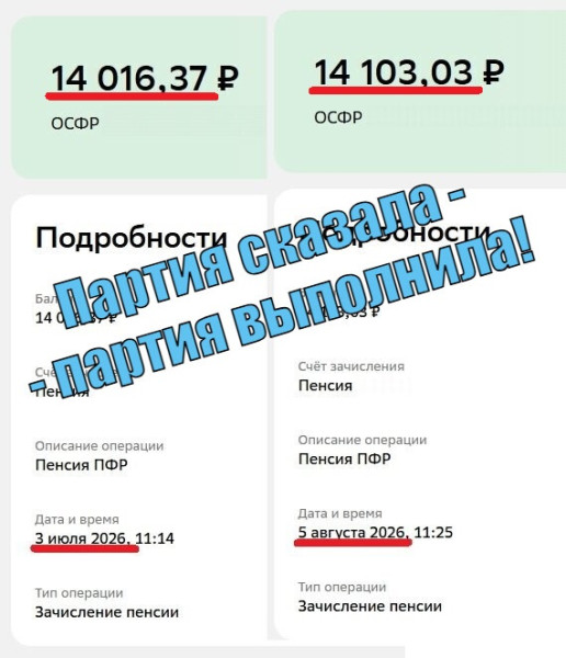 Мем: Решения партии - в жизнь!