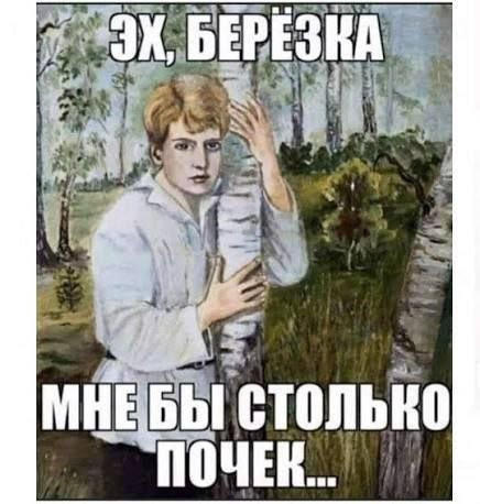 Мем, Антиклептократ