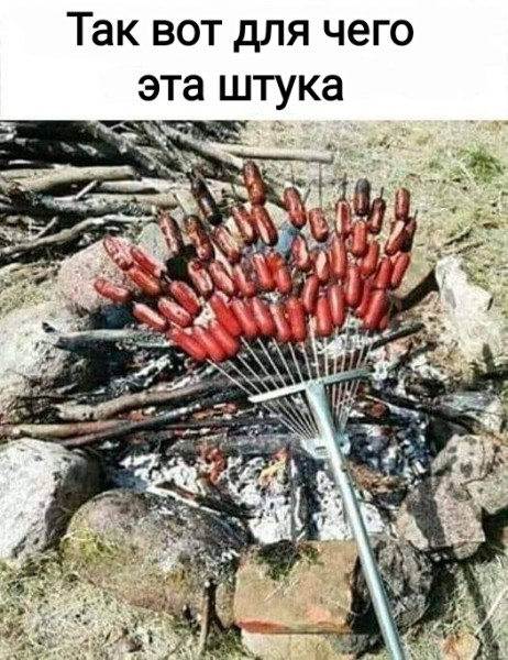 Мем, Рысь
