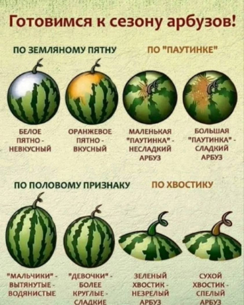 Мем, Hendry