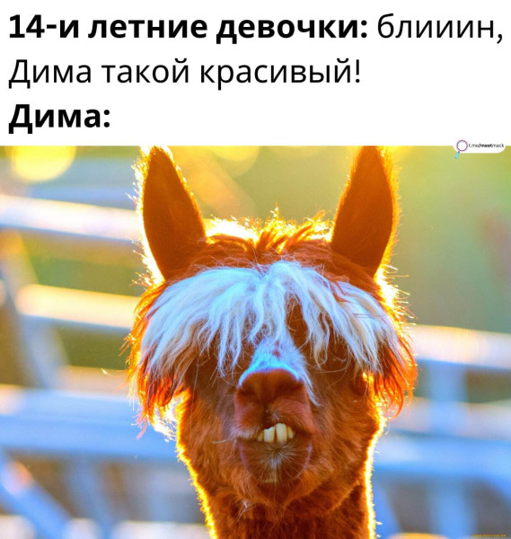 Мем, Mghost Мем, Mghost