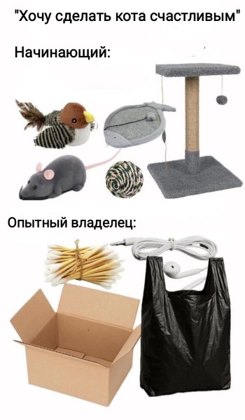 Мем, Рысь Мем, Рысь