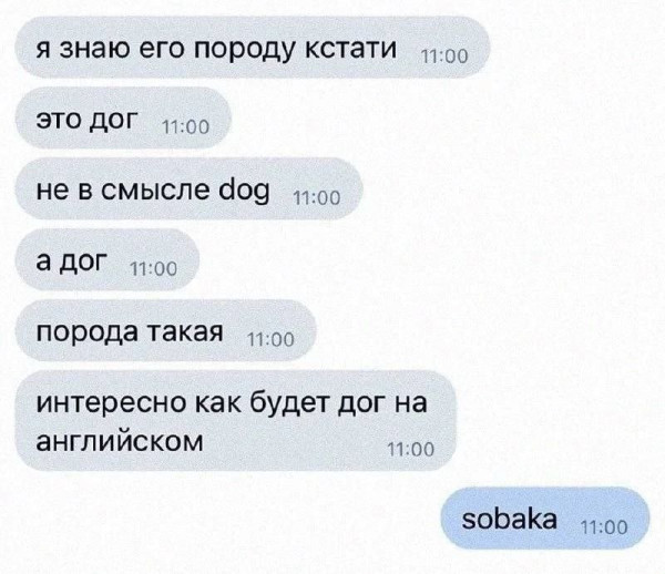 Мем, Ashmedai Мем, Ashmedai
