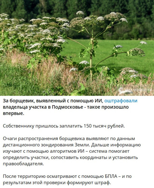 Мем, alexx__ka Мем, alexx__ka