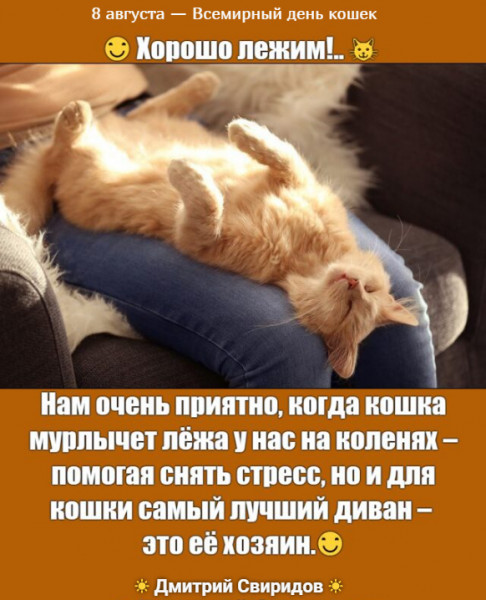 Мем Мем