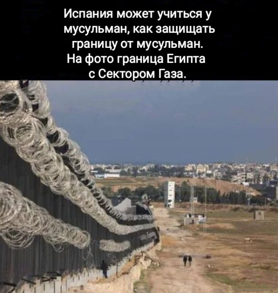 Мем, Рысь