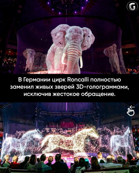 Мем Мем