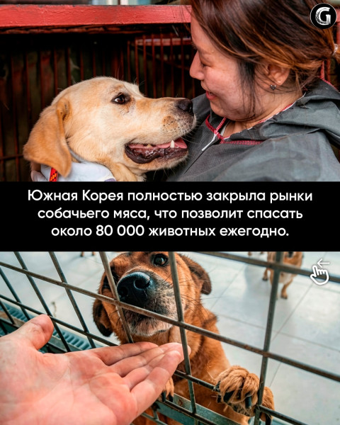 Мем Мем