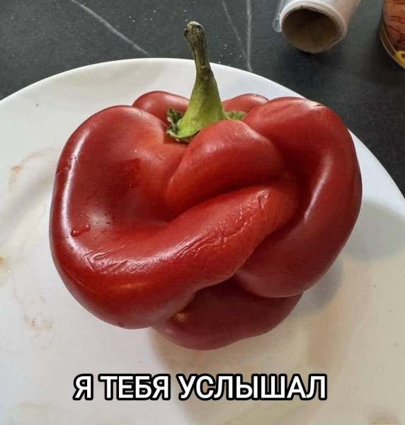Мем, Рысь Мем, Рысь