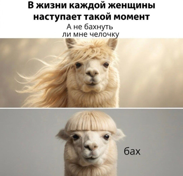 Мем, Ashmedai Мем, Ashmedai