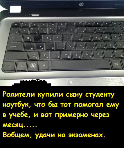 Мем, Лис Интересный