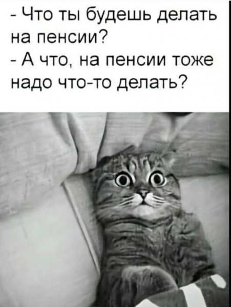 Мем, Антиклептократ