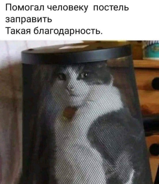 Мем: Мемы про тебя, iteam Мем: Мемы про тебя, iteam