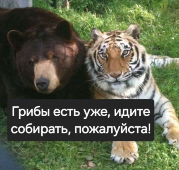 Мем: Мемы про тебя, iteam Мем: Мемы про тебя, iteam