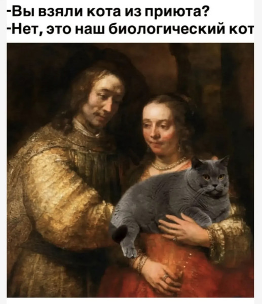 Мем, Bassplayer
