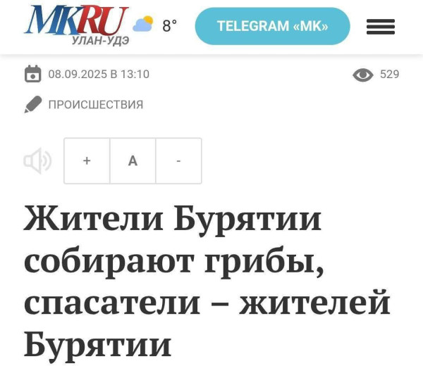 Мем Мем