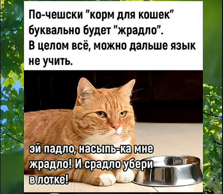 Мем, hop za za Мем, hop za za