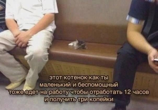 Мем, Антиклептократ