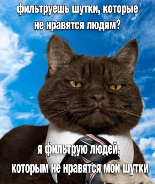 Мем, Антиклептократ Мем, Антиклептократ