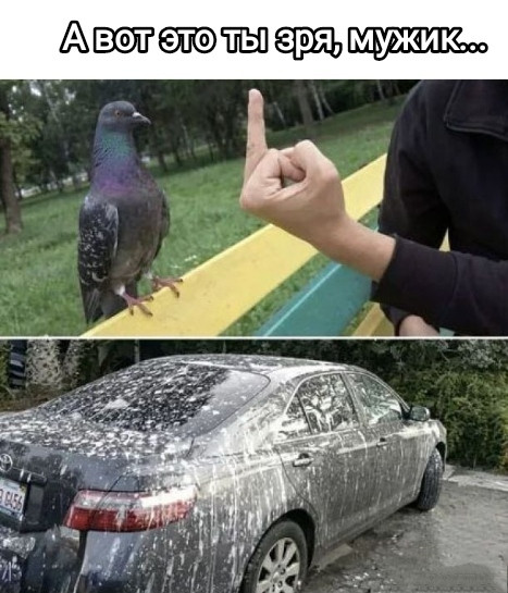 Мем, Рысь Мем, Рысь