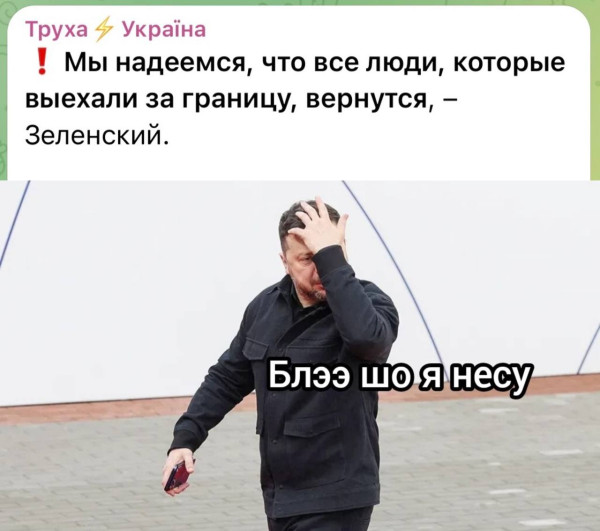 Мем, Максим Камерер Мем, Максим Камерер