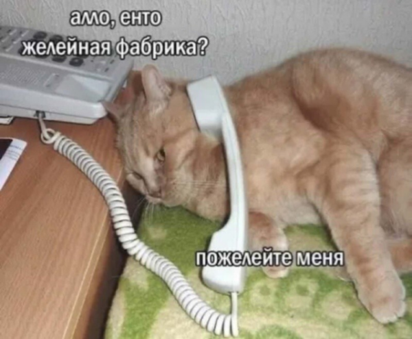 Мем, Антиклептократ