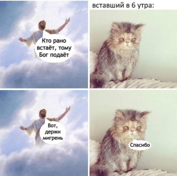 Мем, Антиклептократ