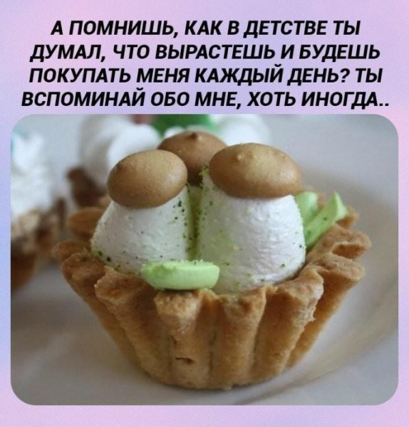 Мем, Антиклептократ Мем, Антиклептократ