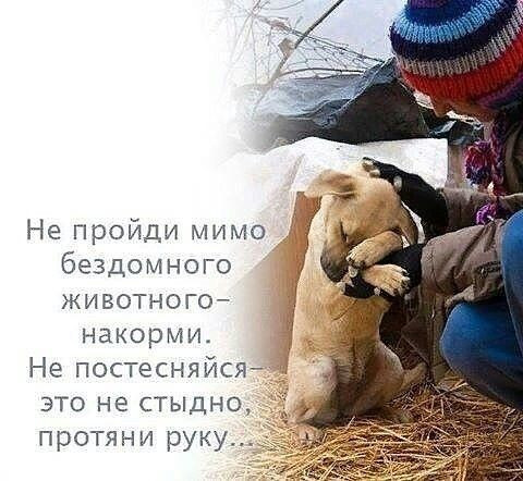 Мем, Алекс Гудков