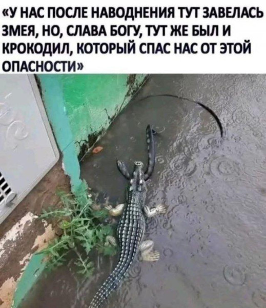 Мем, Антиклептократ