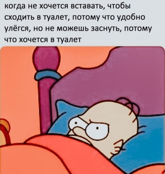 Мем, Антиклептократ