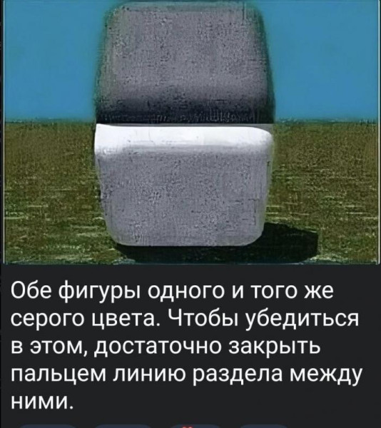 Мем: Оптический обман, Антиклептократ Мем: Оптический обман, Антиклептократ