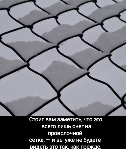Мем, Рысь
