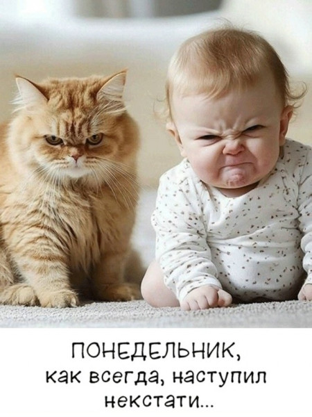 Мем, Алекс Гудков