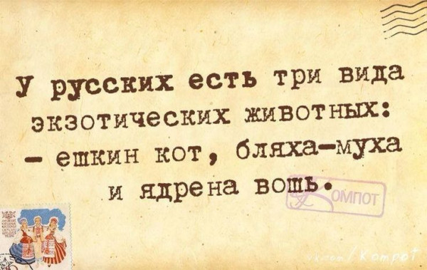 Мем, Алекс Гудков
