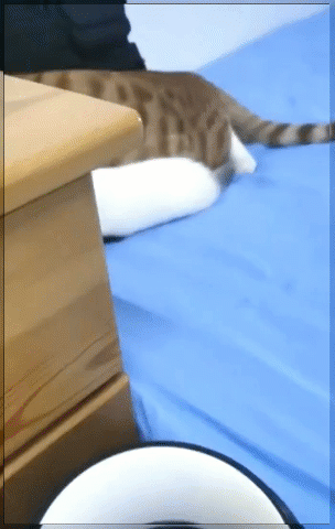 Мем, Серж Скоров Мем, Серж Скоров