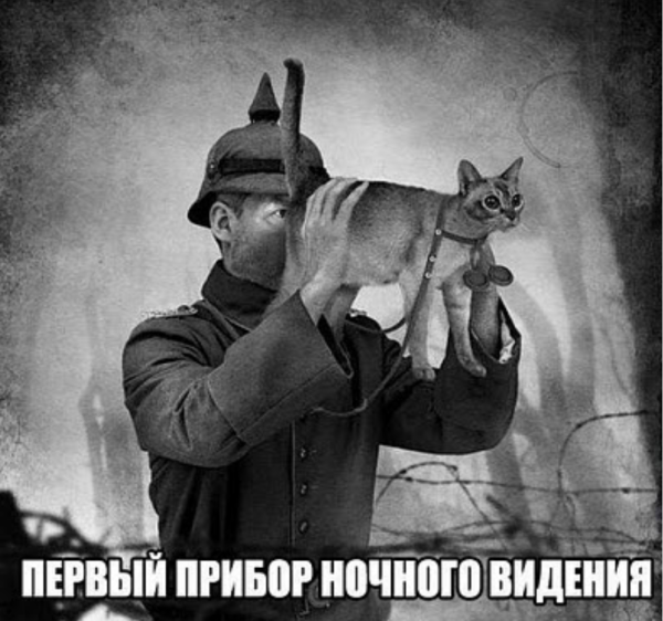 Мем: Первый прибор ночного видения, Василий Воробьев